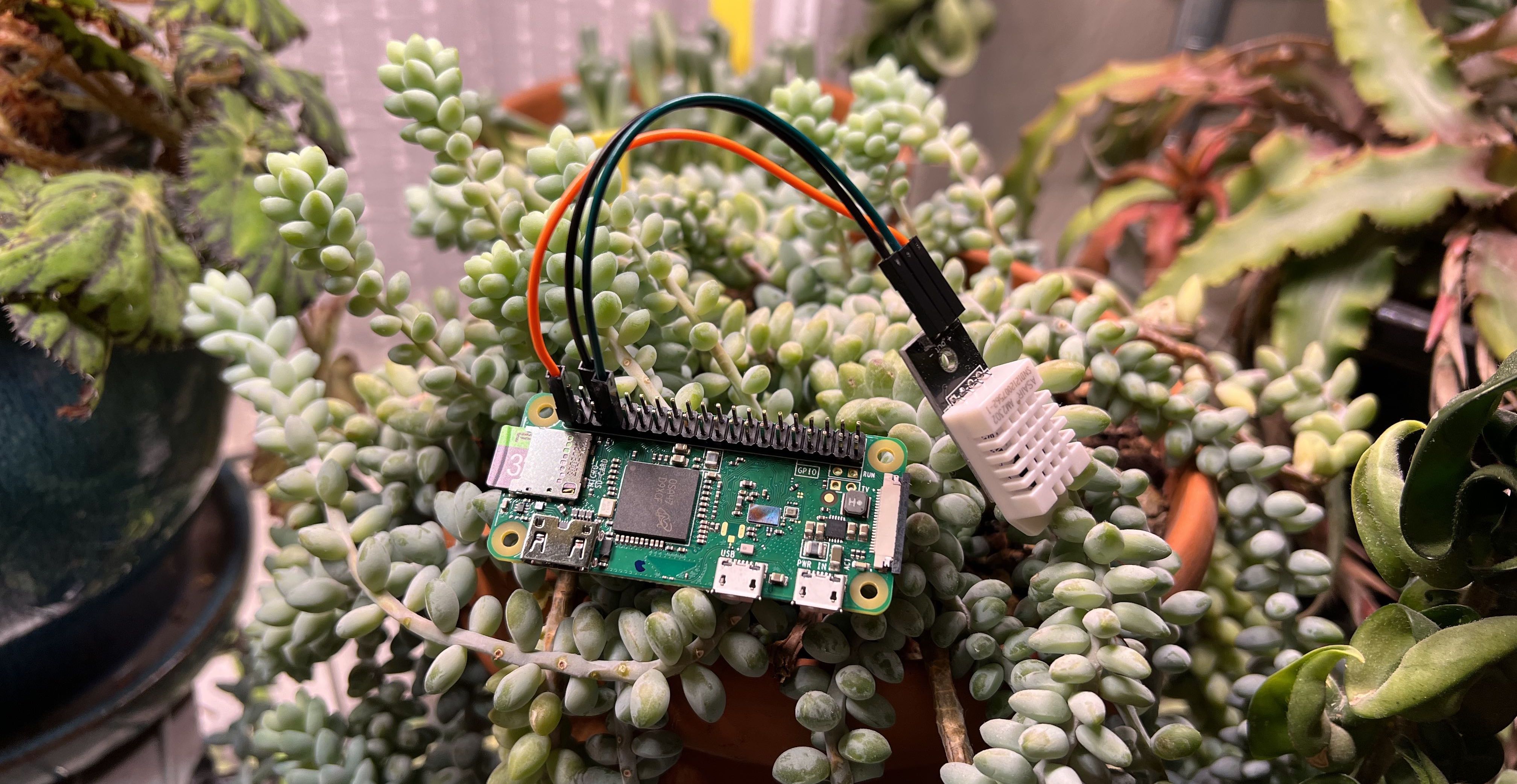 Building a cloud-connected temperature and humidity sensor